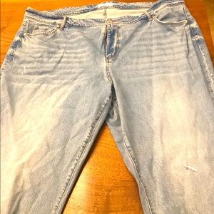 Loft Plus Jeans. Sz 24 full-length denim jeans.